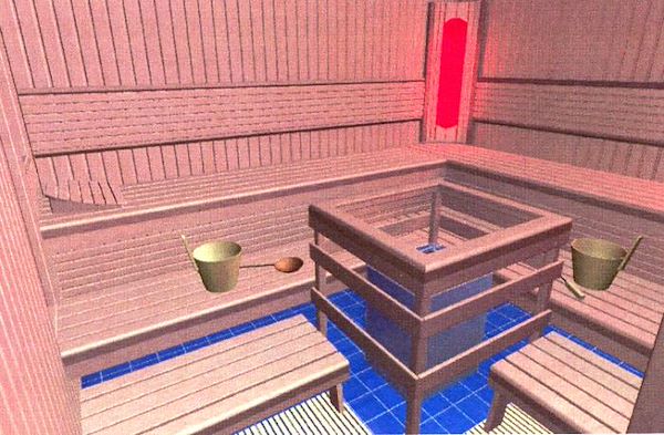 Variant special sauna