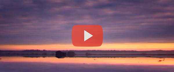 The well-being of the Finnish sauna, Video