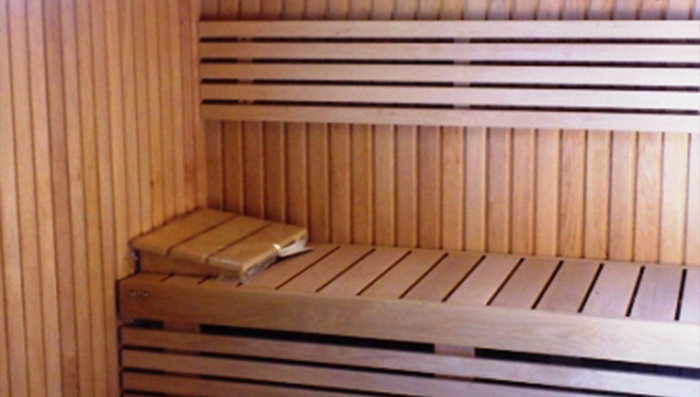 Precut sauna with woodburning stove at external alimentation